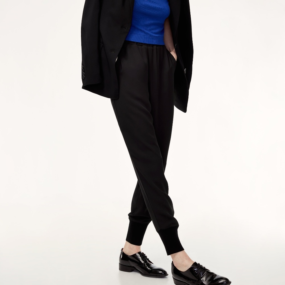 Aritzia  Babaton Terado Block Jogger Pants